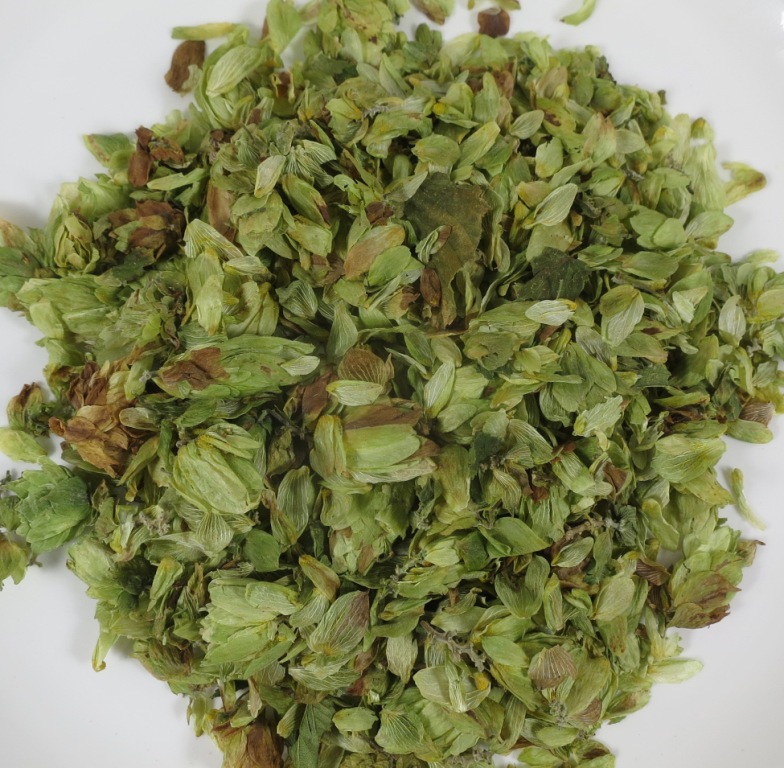 Hopfenblüten in Bio Qualität