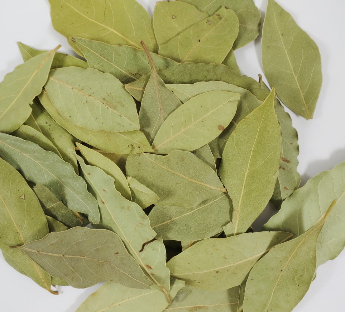Lorbeer ganze Blätter