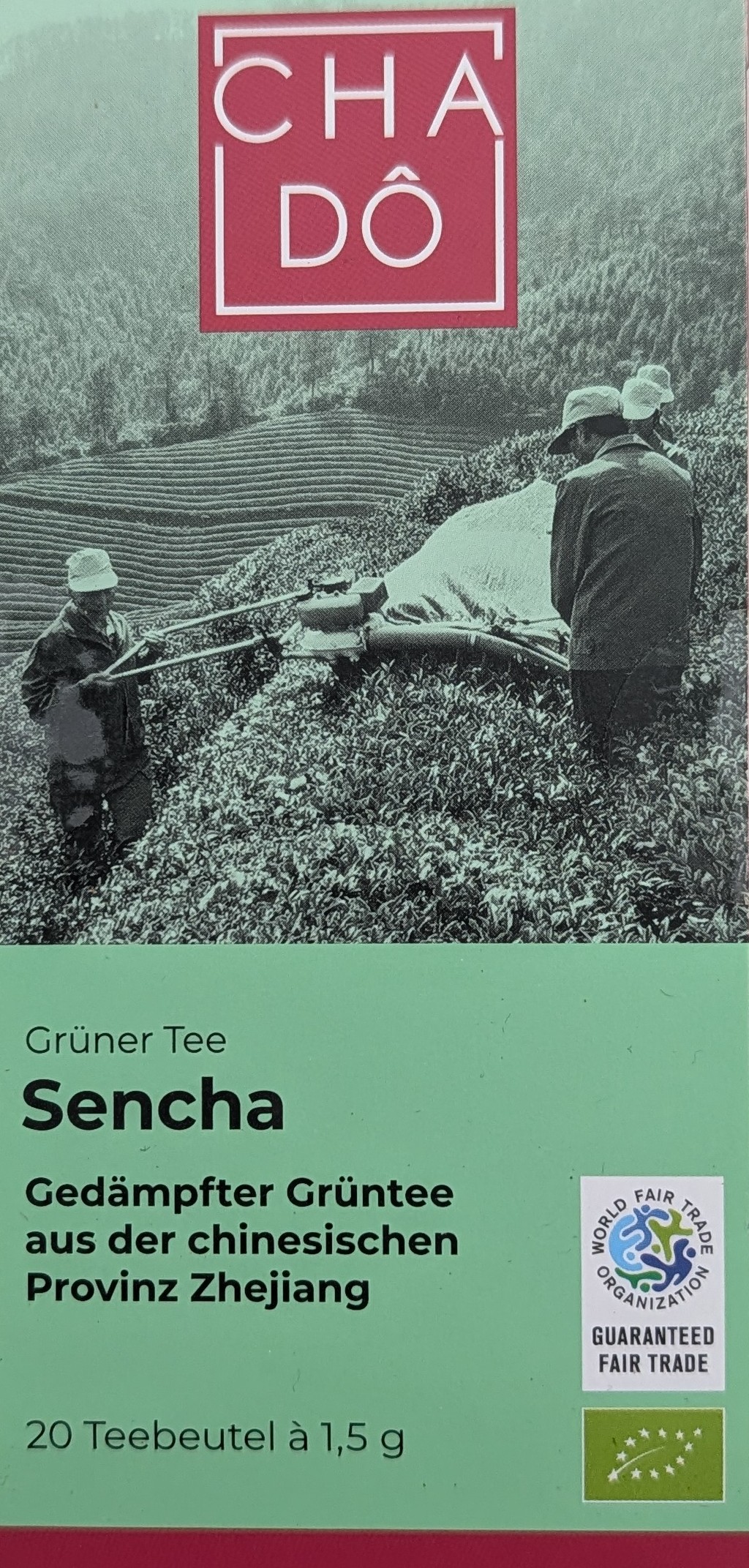 Teebeutel Grüner Tee bio