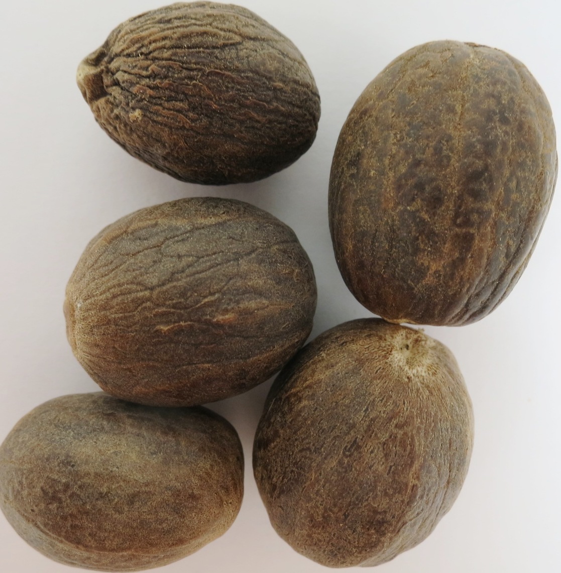 Muskatnüsse BIO - 25g