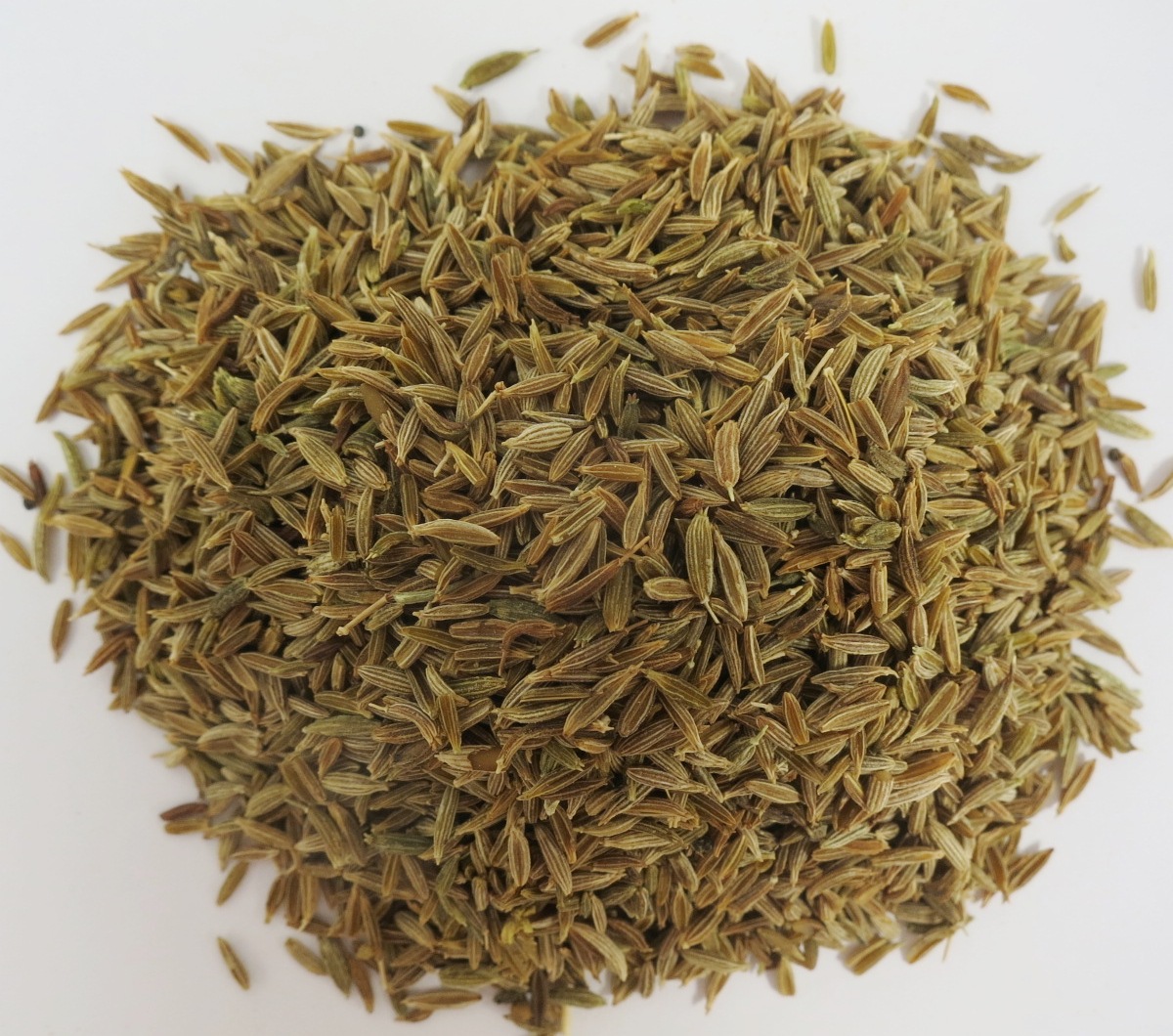 Cumin (Kreuzkümmel) ganz