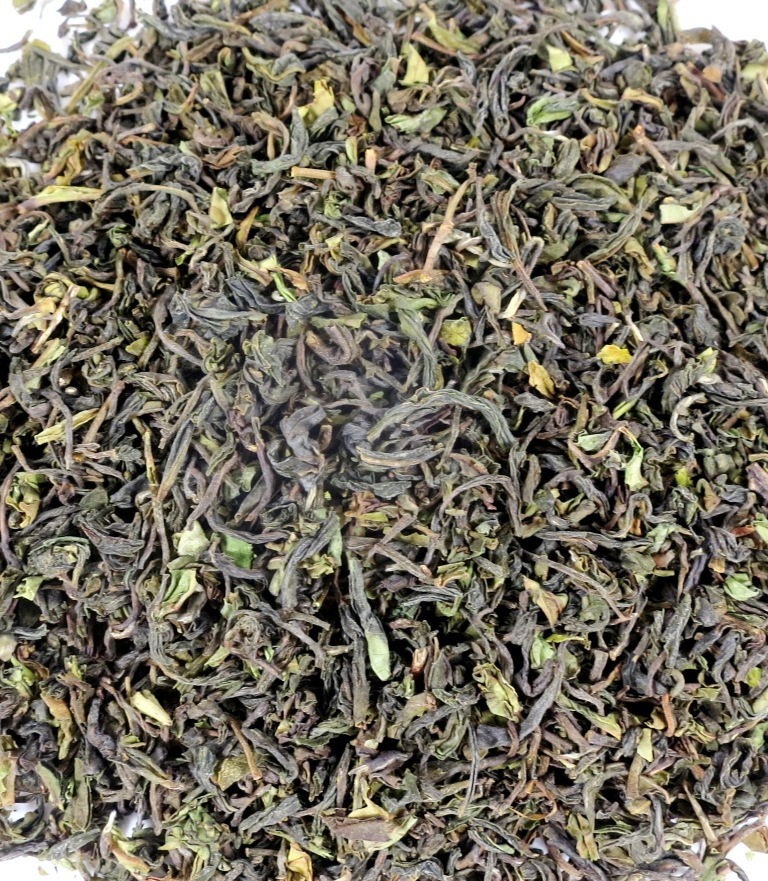 Frühlingsernte aus Darjeeling. Garten Singell.