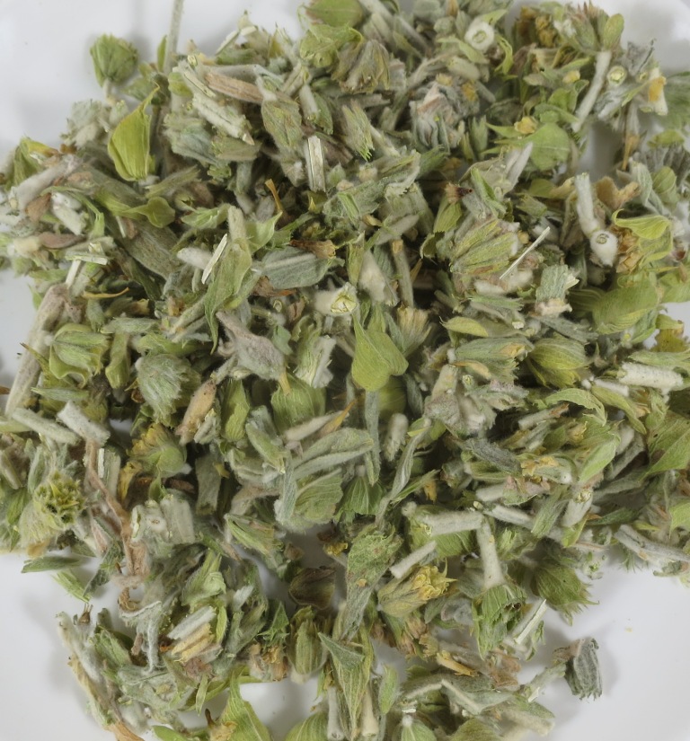 Griechischer Bergtee Bio Schnittware